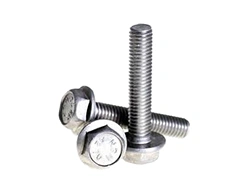 Stainless Flange Bolts